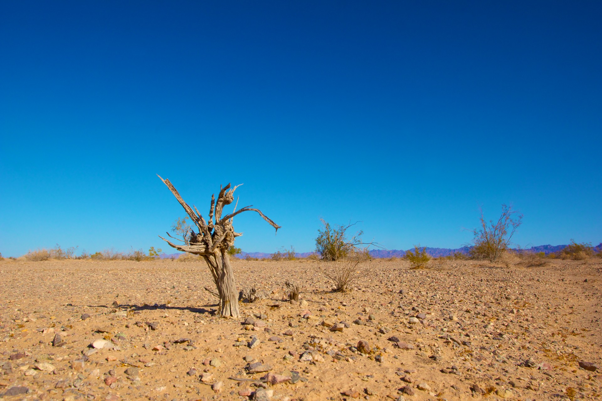 Costi dei cambiamenti climatici allarmanti in Italia, secondo Euromò.